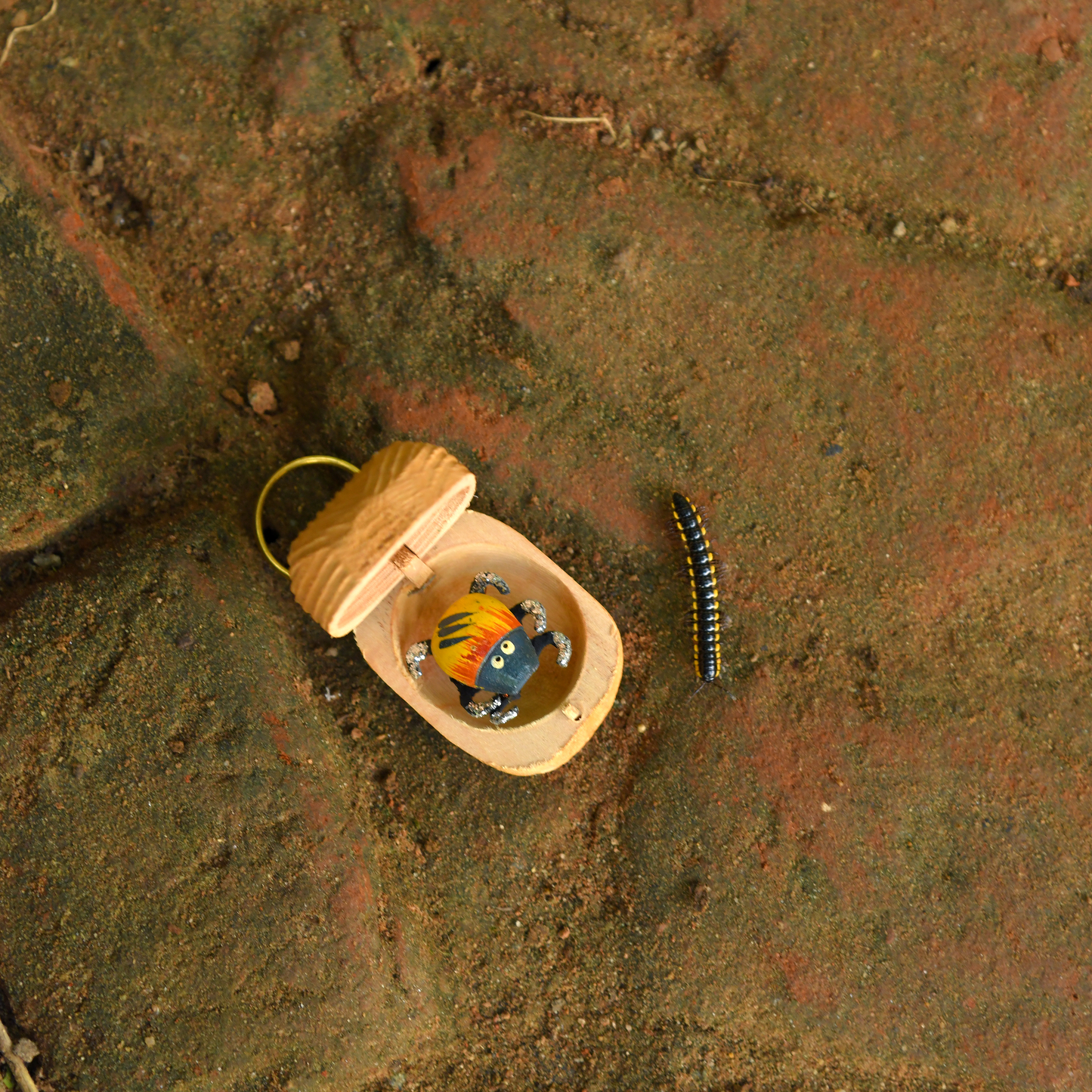 Beetle Box