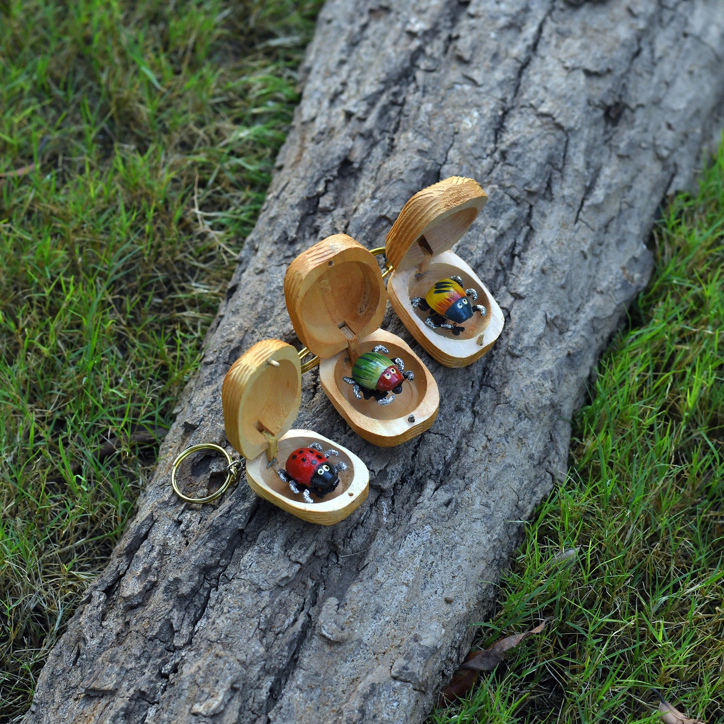 Beetle Box
