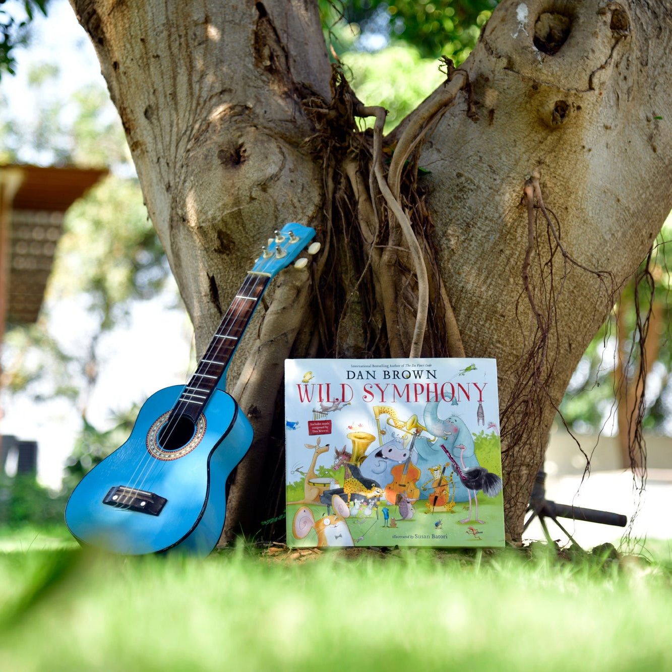 Wild Symphony by Dan Brown