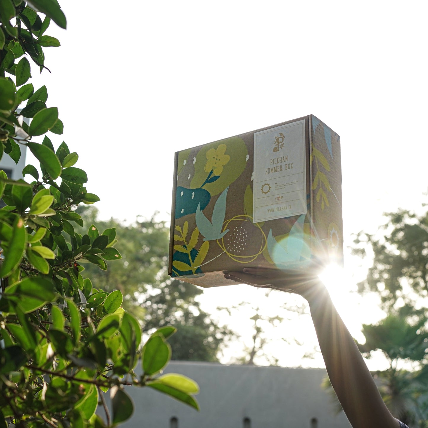 The Summer Box