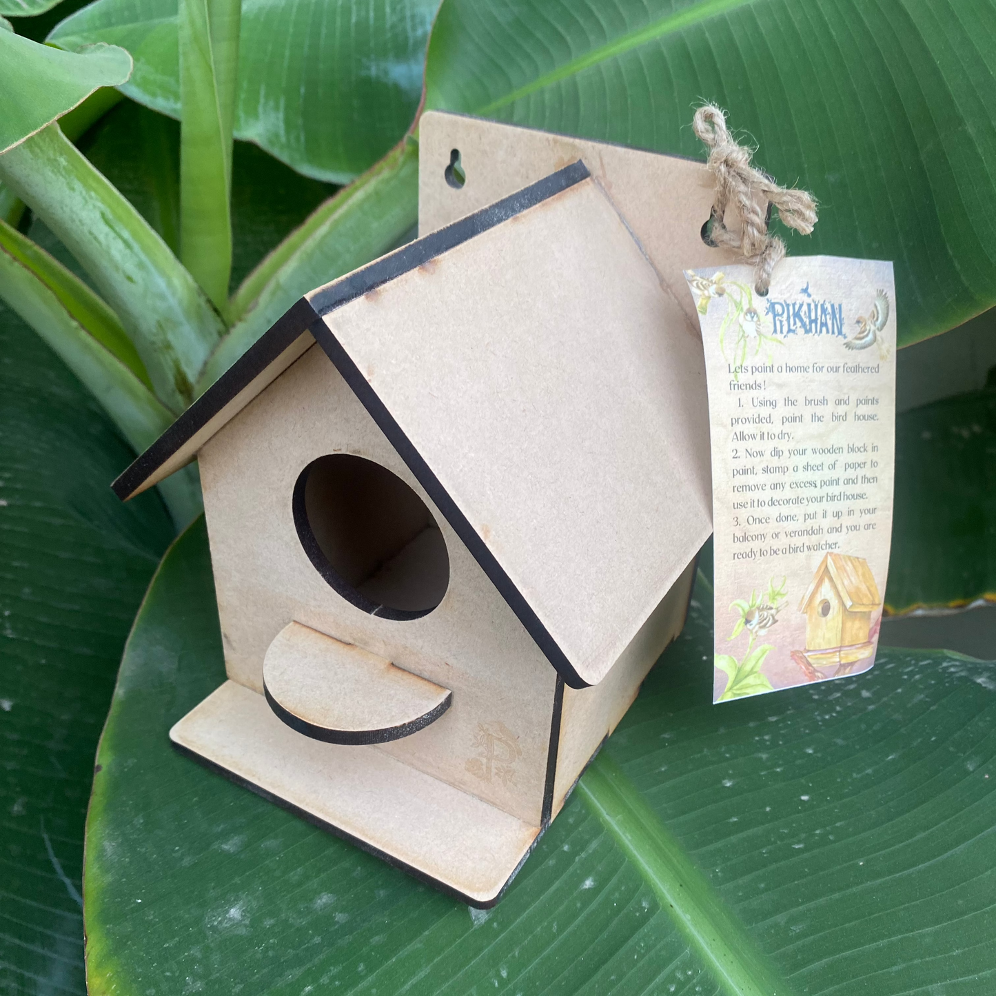 Pilkhan Mini - Bird House Painting & Planting