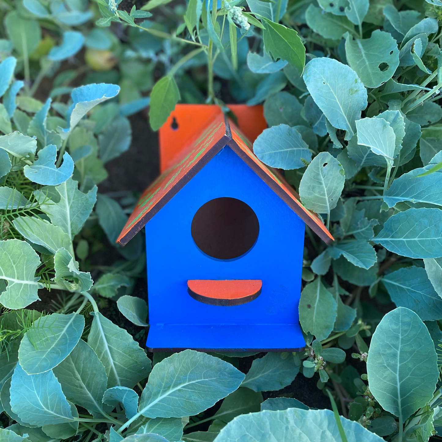 Pilkhan Mini - Bird House Painting & Planting