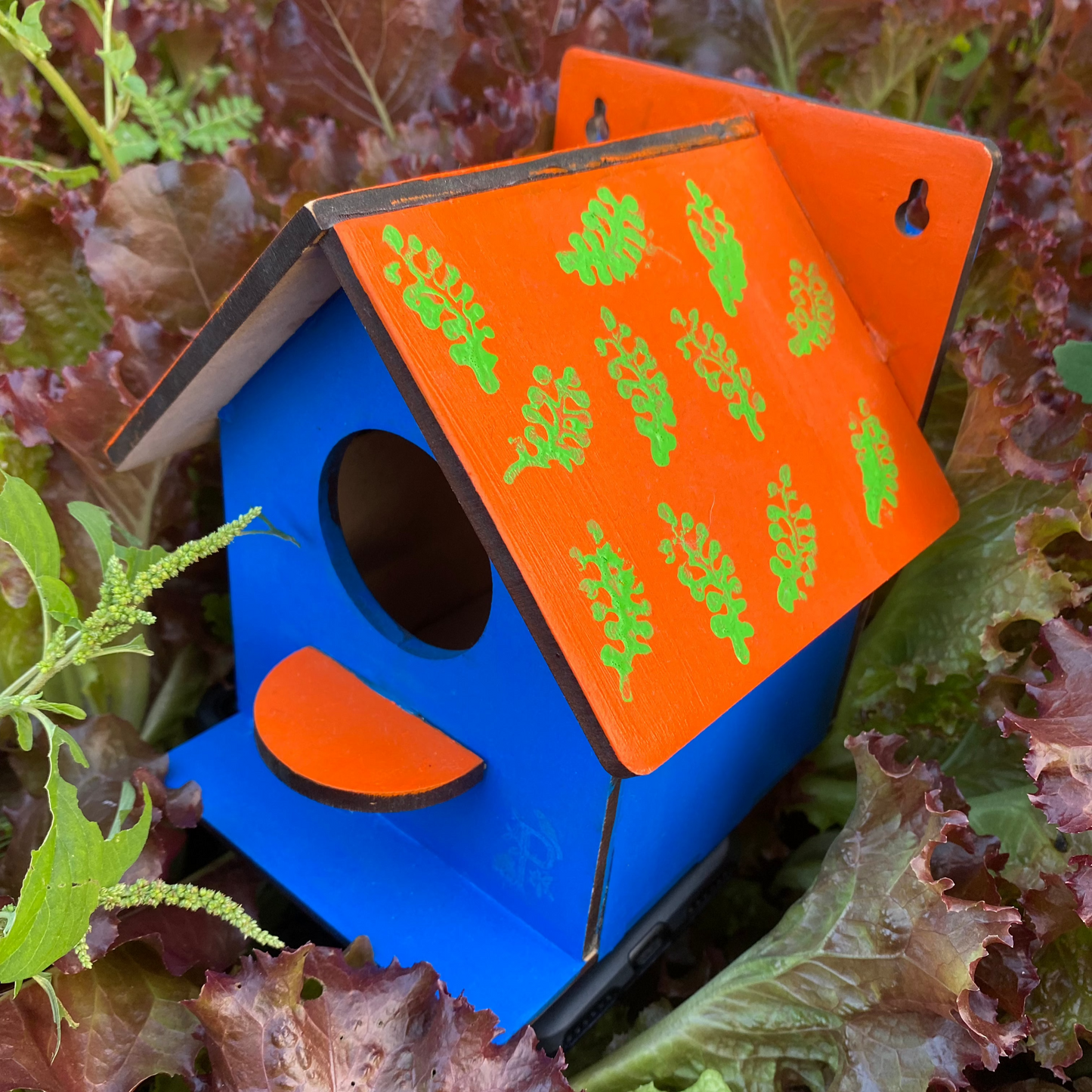 Pilkhan Mini - Bird House Painting & Planting