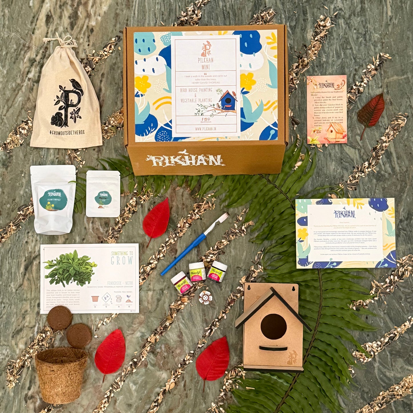 Pilkhan Mini - Bird House Painting & Planting