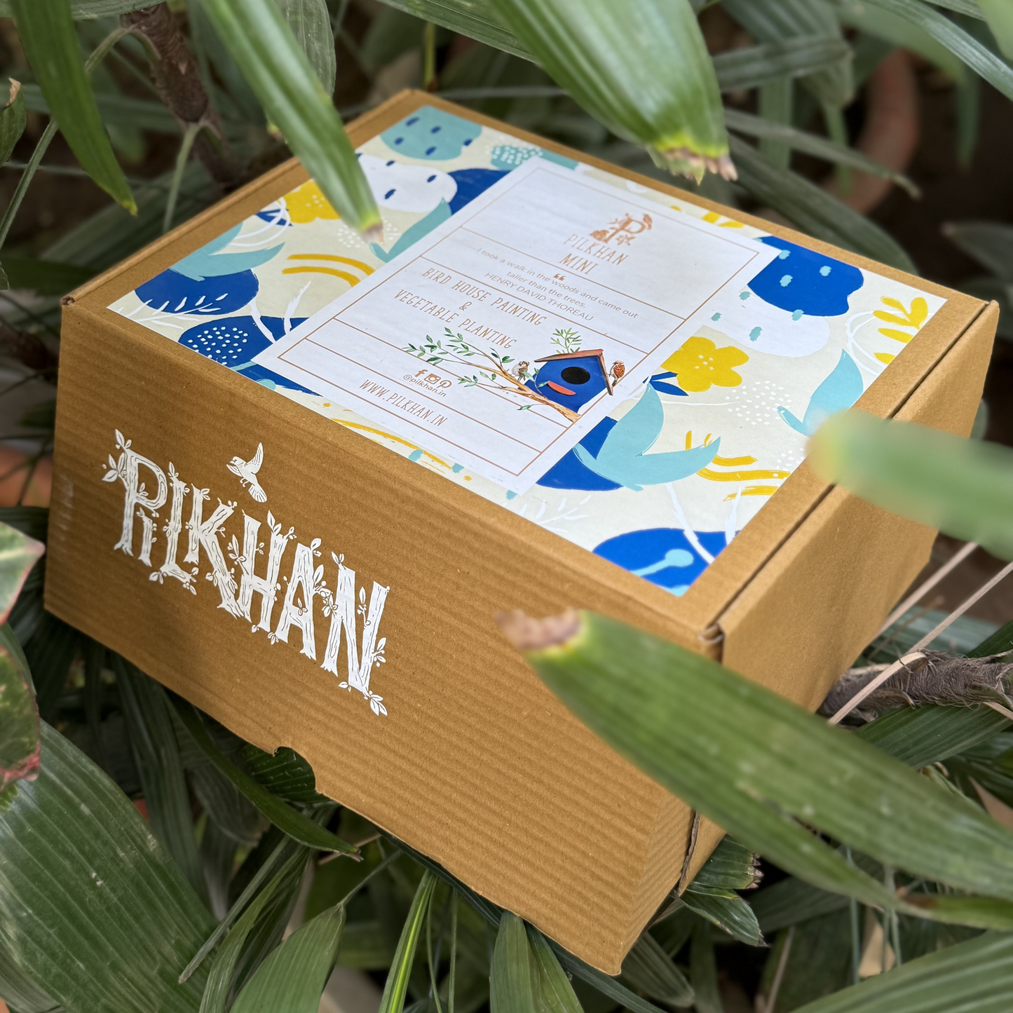 Pilkhan Mini - Bird House Painting & Planting