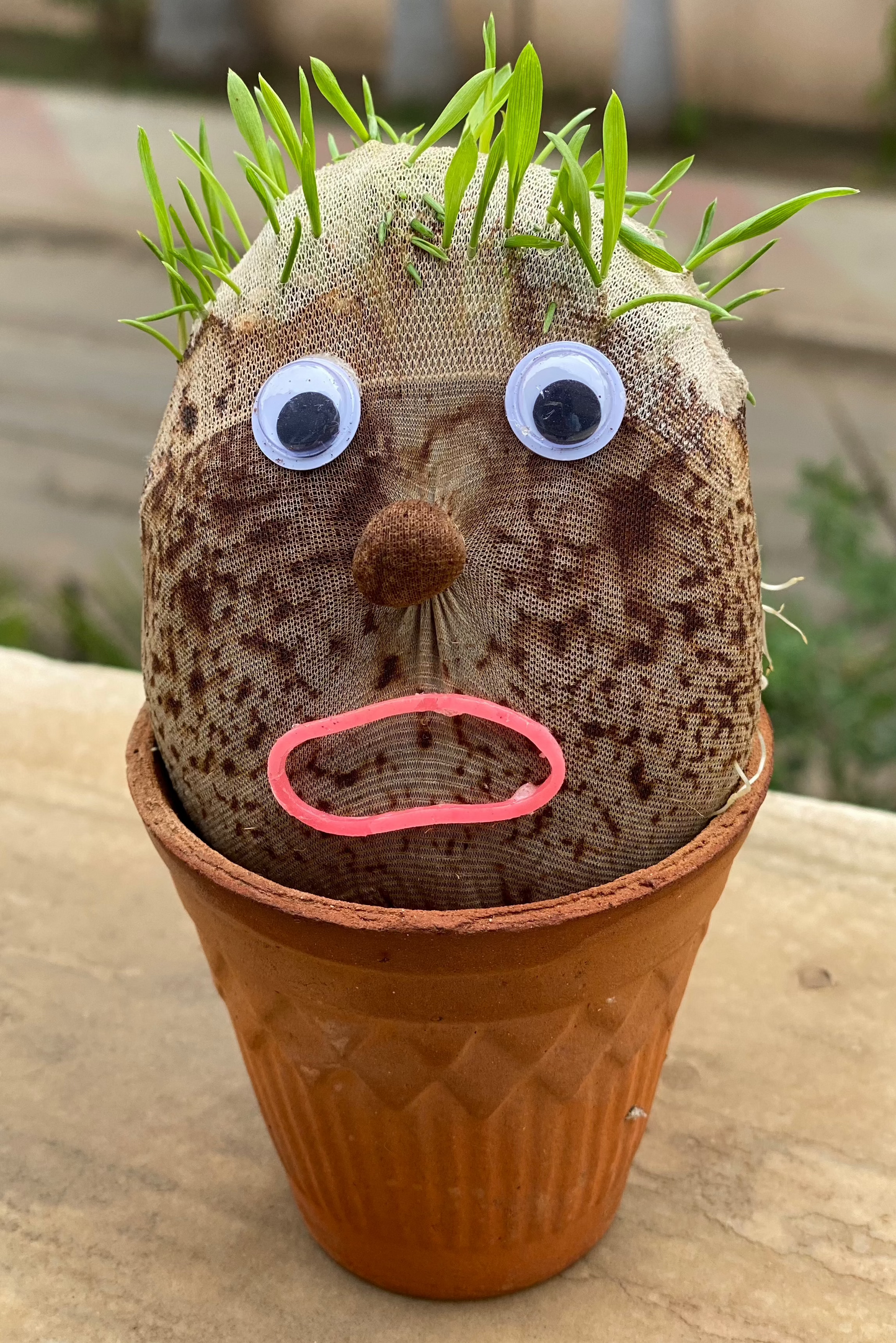 Mr. Grasshead