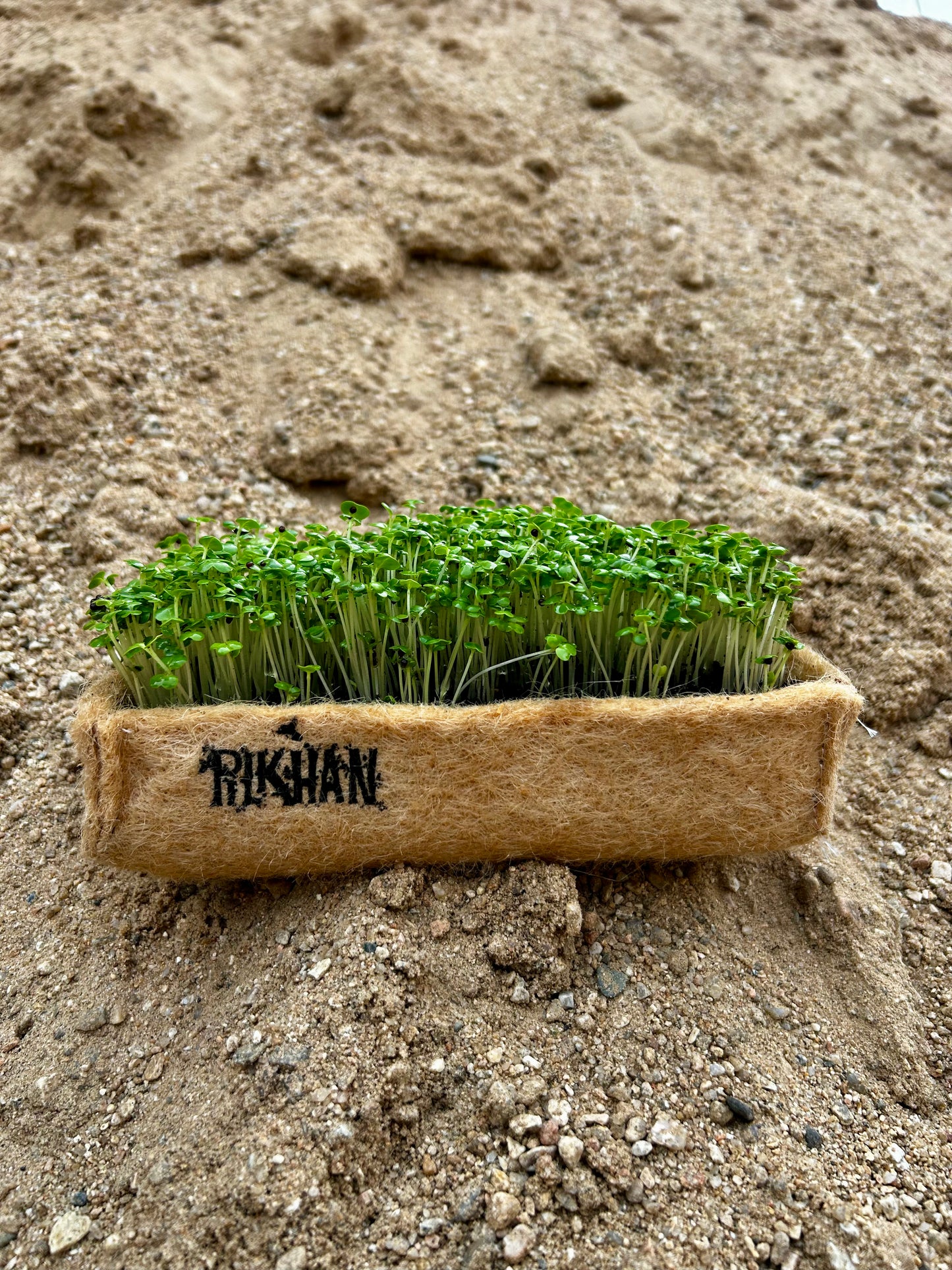 Pilkhan Microgreens Grow Box