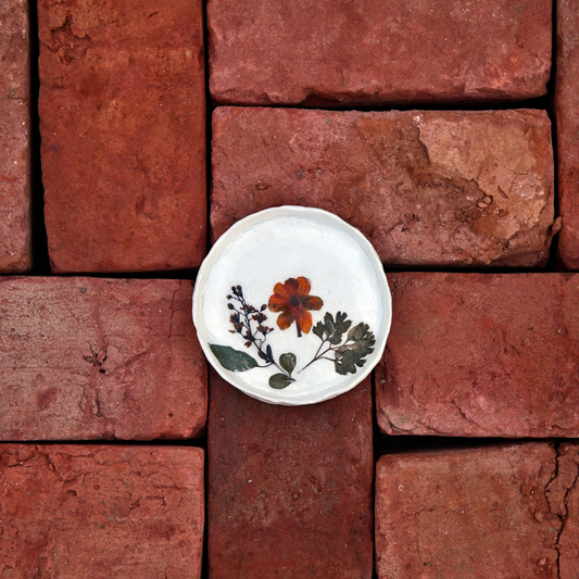 Pilkhan Mini - Botanical Clay Pinch Pot & Planting