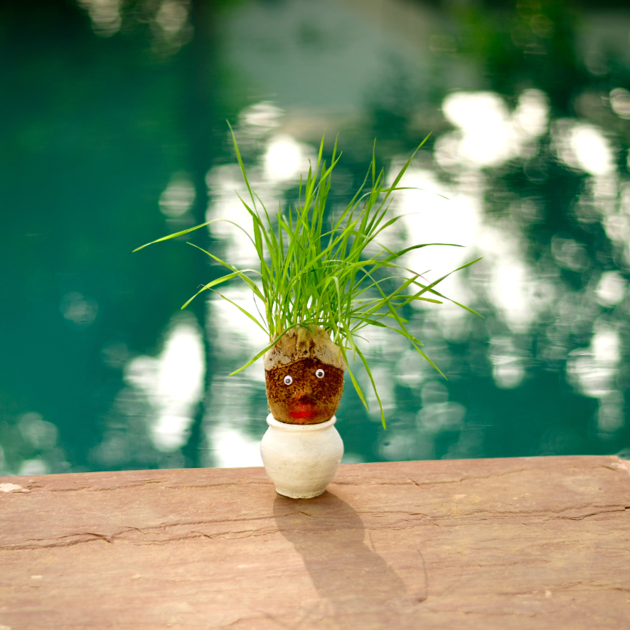 Mr. Grasshead