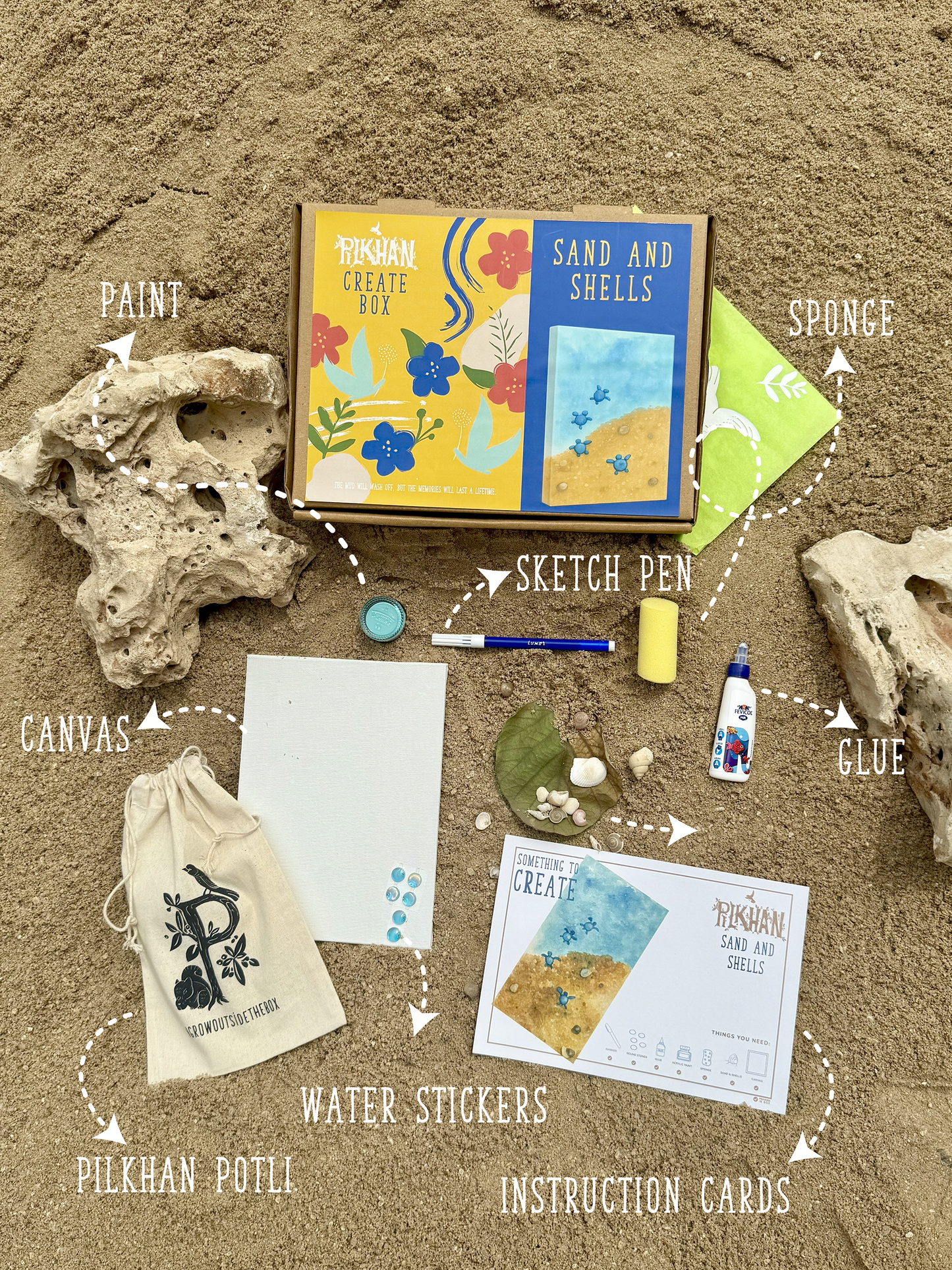 Sand & Shells