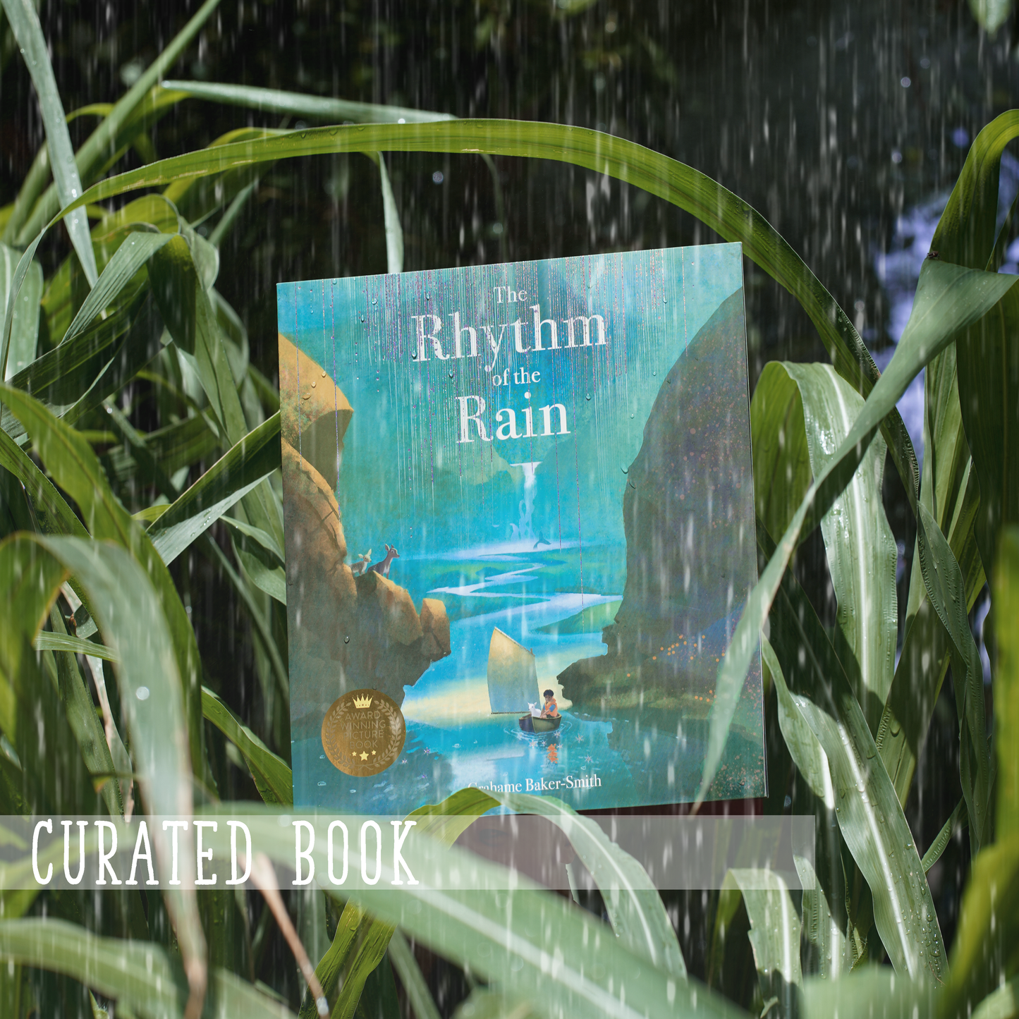 The Monsoon Box