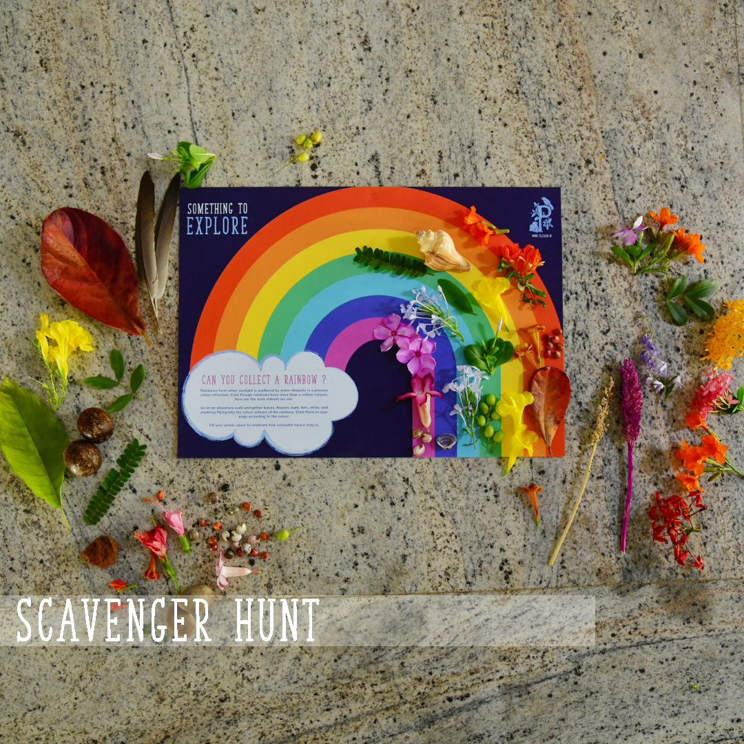 The Spring Box