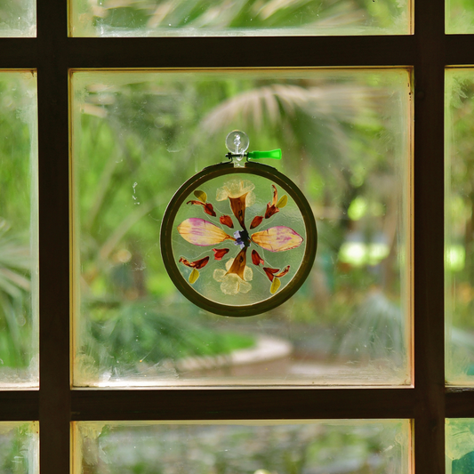 Pilkhan Mini - Floral Hoop & Planting