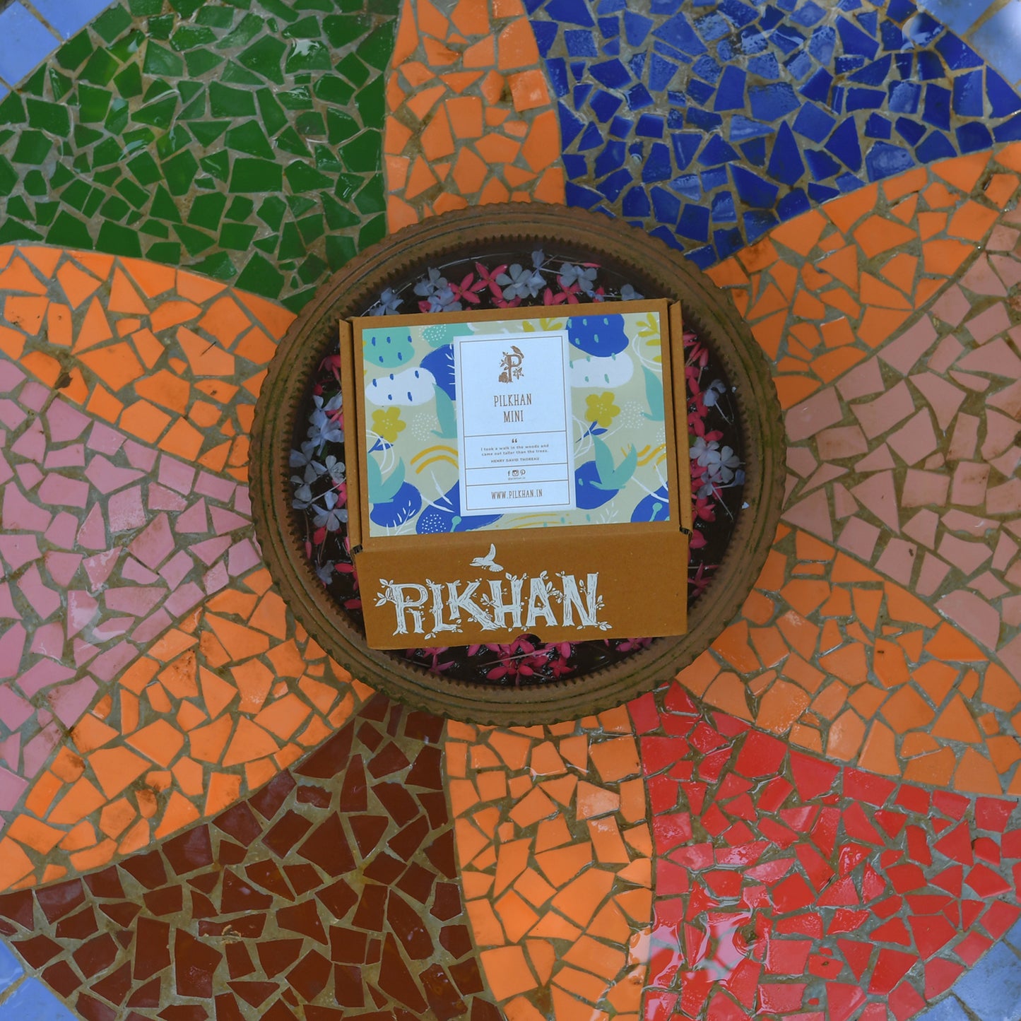 Pilkhan Mini - Botanical Clay Pinch Pot & Planting