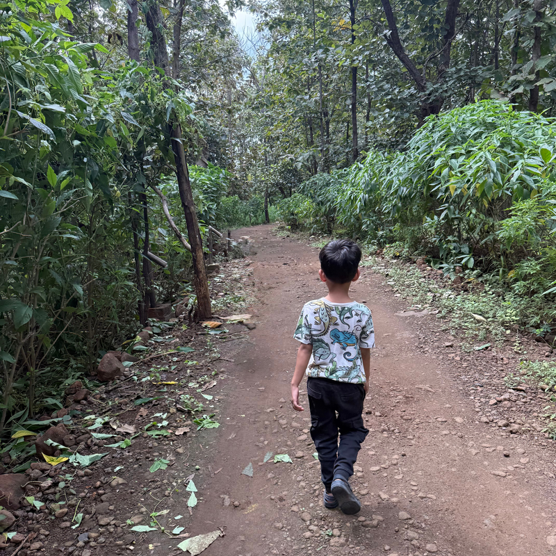 Child exploring an outdoor landscape in India