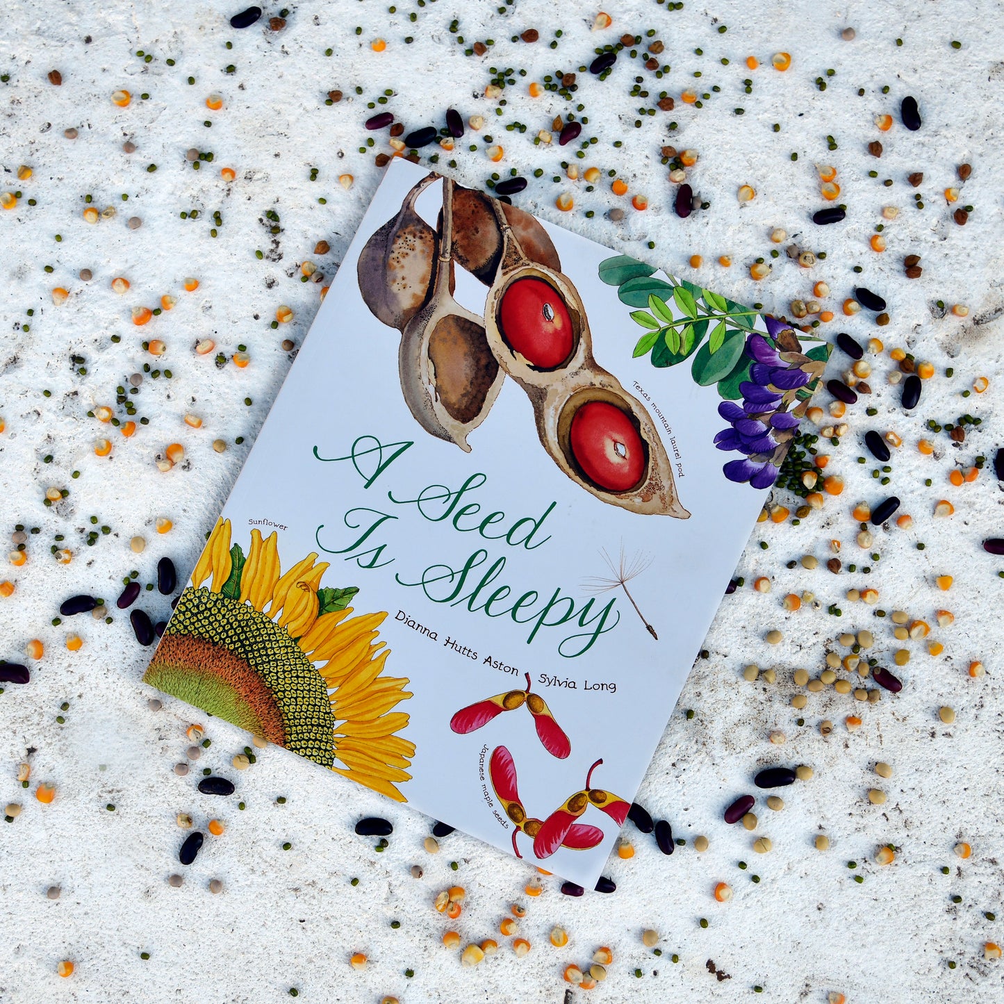 A Seed Is Sleepy by Diana Hutts Aston