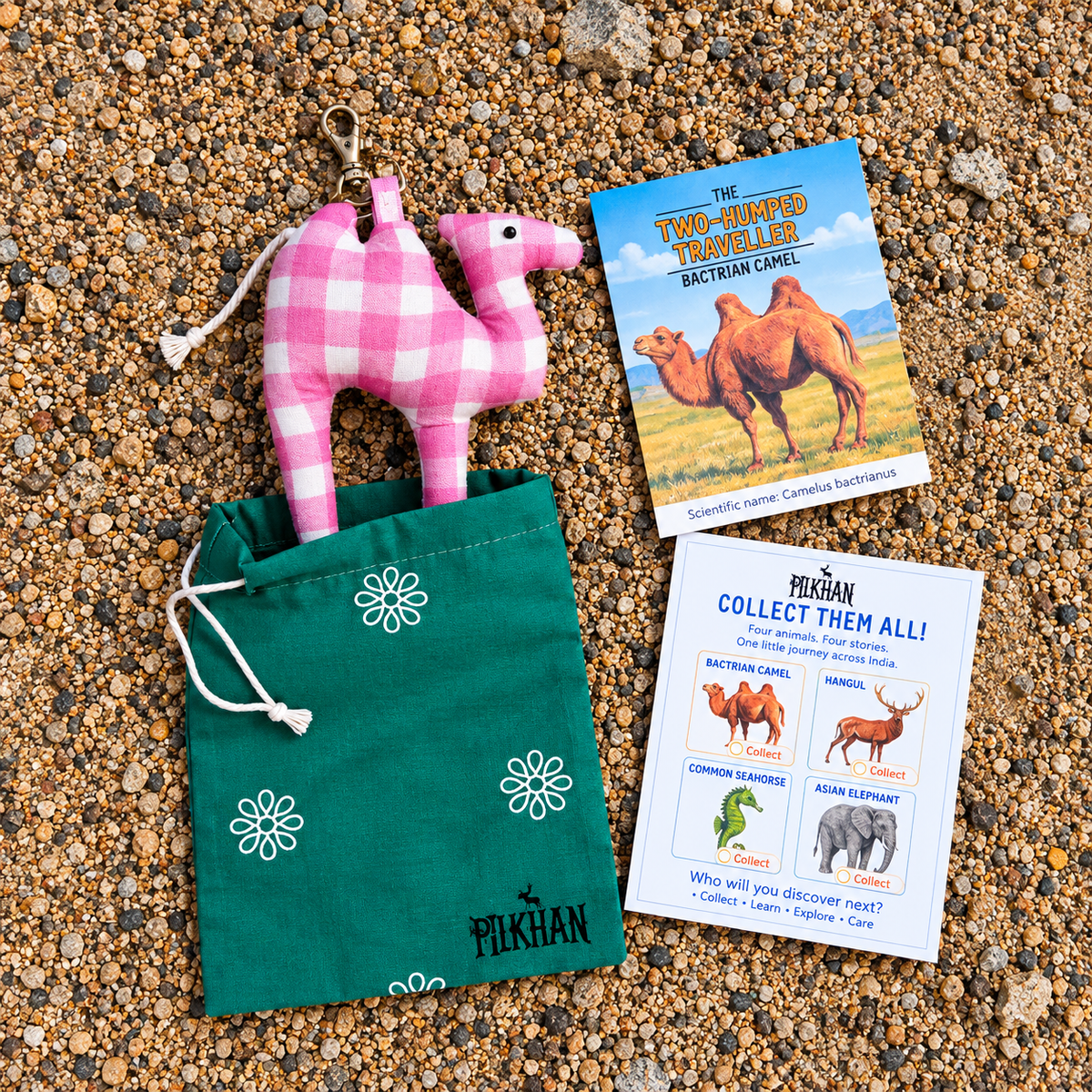 Pilkhan Wild India - Animal Charm Collection