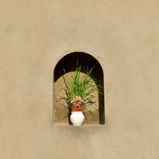 Mr. Grasshead