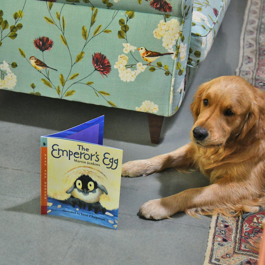 The Emperor’s Egg by Martin Jenkins