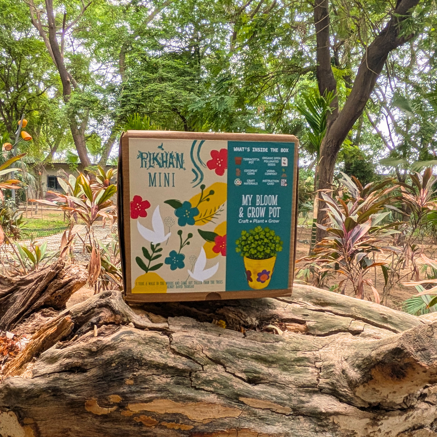 Pilkhan Mini - Bloom & Grow Pot