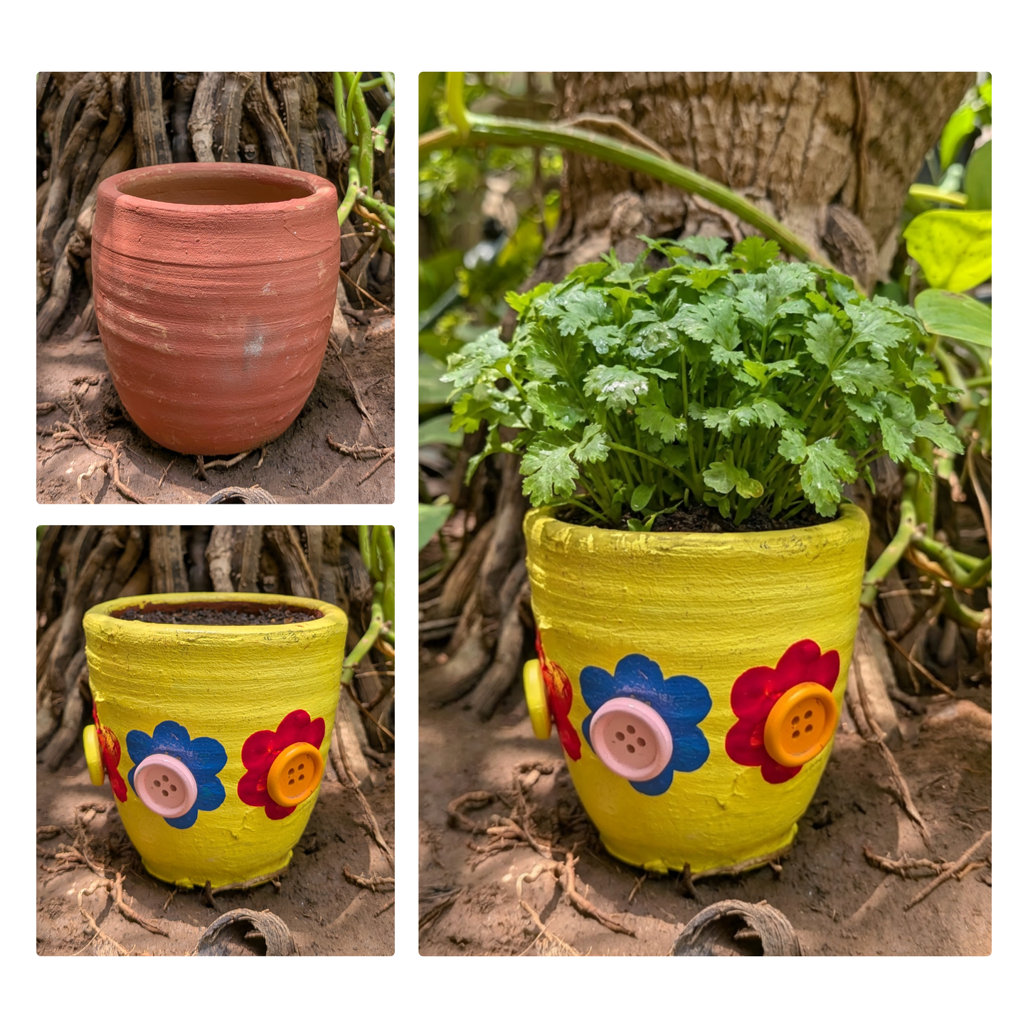 Pilkhan Mini - Bloom & Grow Pot