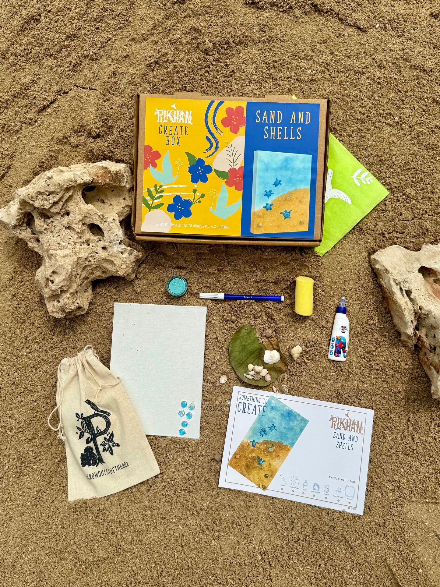 Sand & Shells