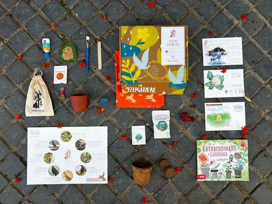 The Autumn Box