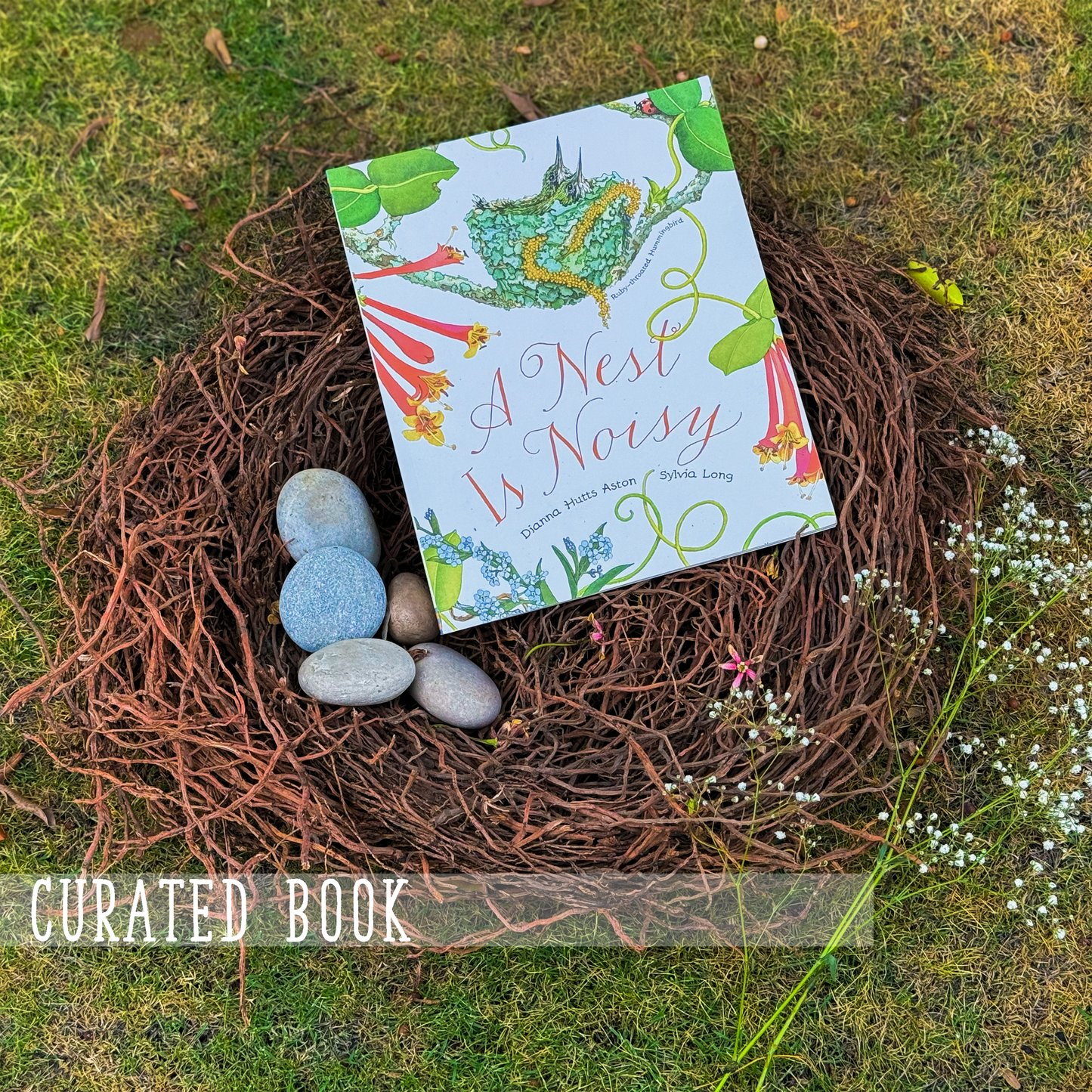 The Spring Box