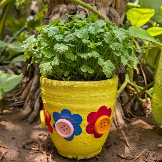 Pilkhan Mini - Bloom & Grow Pot