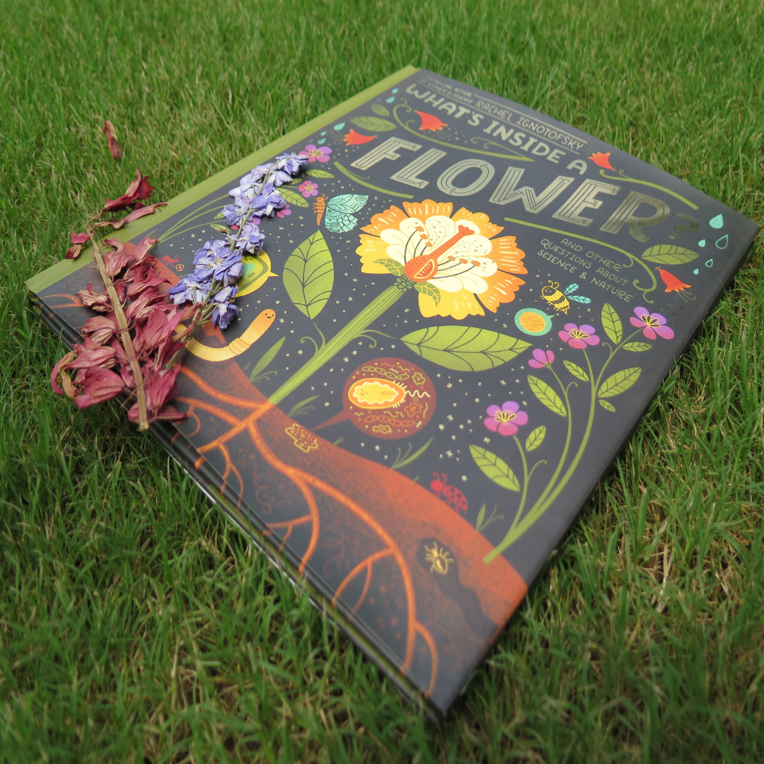 What’s Inside a Flower? by Rachel Ignotofsky