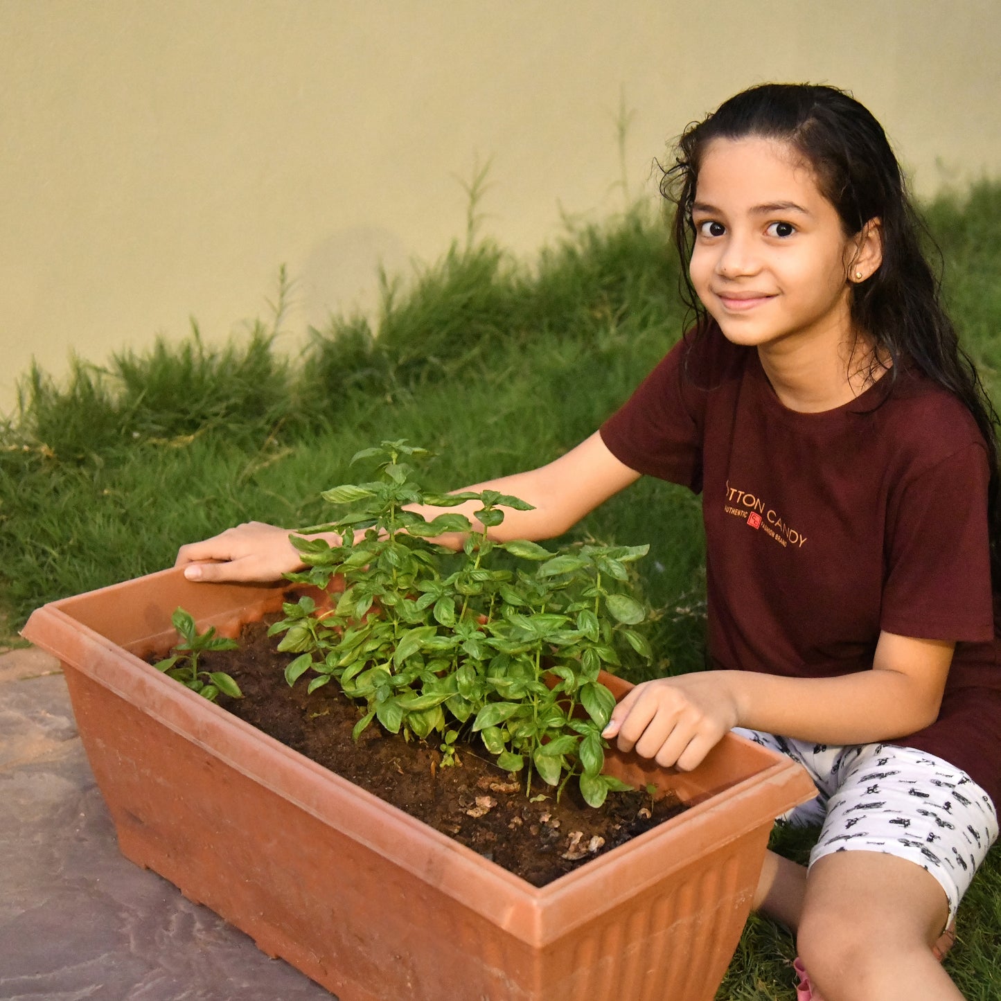 Pilkhan Grow Box