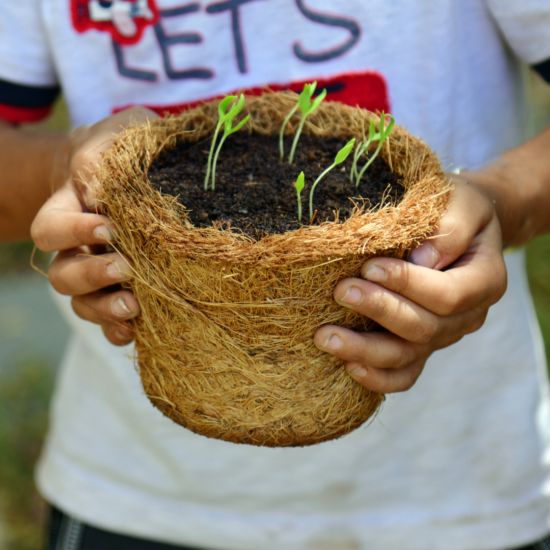 Pilkhan Mini - Pebble Tic Tac Toe & Planting